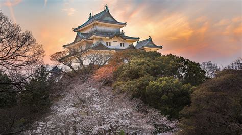 gallery rare osaka
